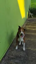 Marley