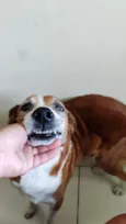 Marley