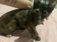 Nina 