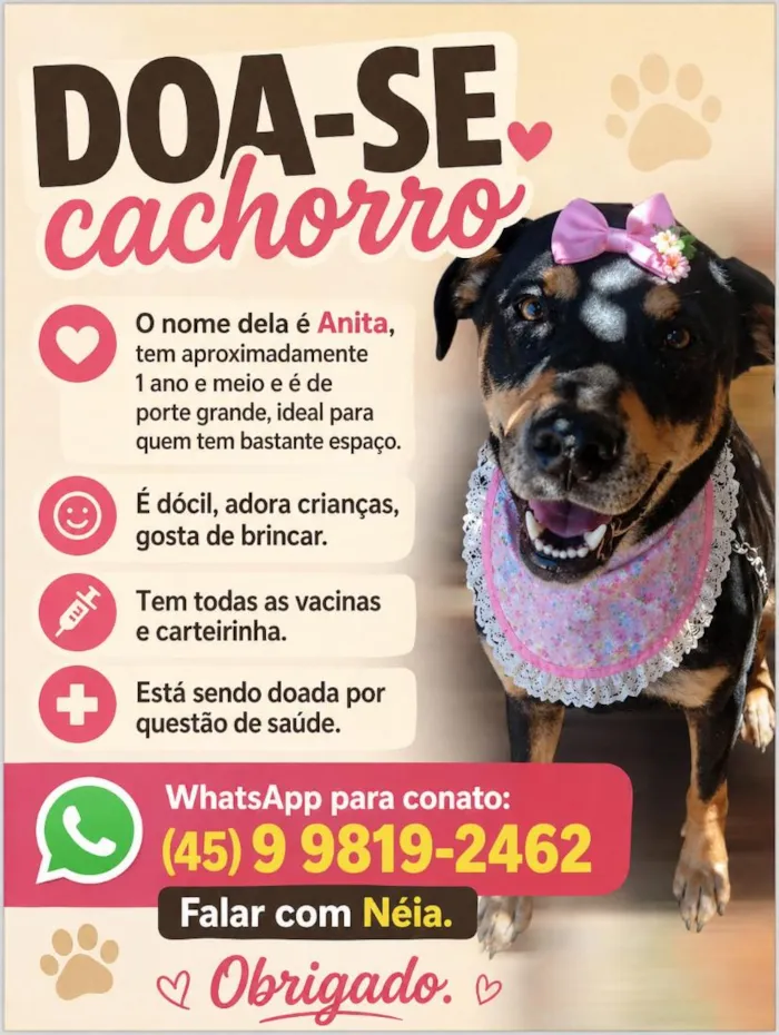 Cachorro raça SRD-ViraLata idade 1 ano nome Anita