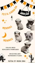 Ainda não tem nome