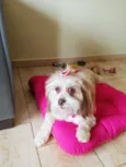 Princesa 