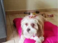 Princesa 