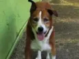 Marley