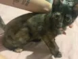 Nina