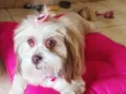 Princesa 