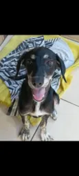 Bob