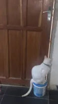 Mike