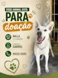 Kesper e Nalla