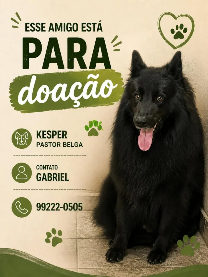 Cachorro raça SRD-ViraLata idade 2 anos nome Kesper e Nalla