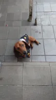 paçoca