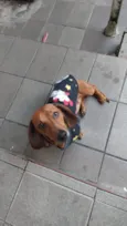 paçoca