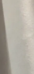 Cachorro raça SRD-ViraLata idade 7 a 11 meses nome Snoopy 