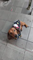 paçoca