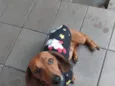 paçoca