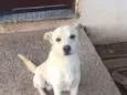 Bad