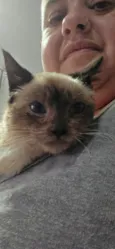 Nala