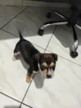 Tony