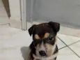 Tony