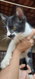 Guri