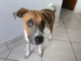 Fred 