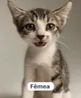 Não possuem nome