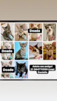 Não possuem nome