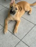 Billy