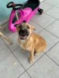 Billy