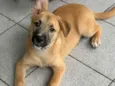 Billy