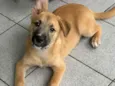 Billy