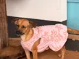 MAITÊ