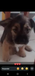 kemi