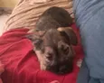 kemi