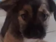 kemi