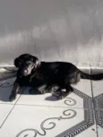 Não tem 