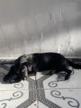 Não tem 