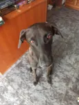 Aylla