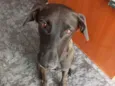 Aylla