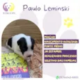 Paulo Leminski