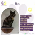 Bibi