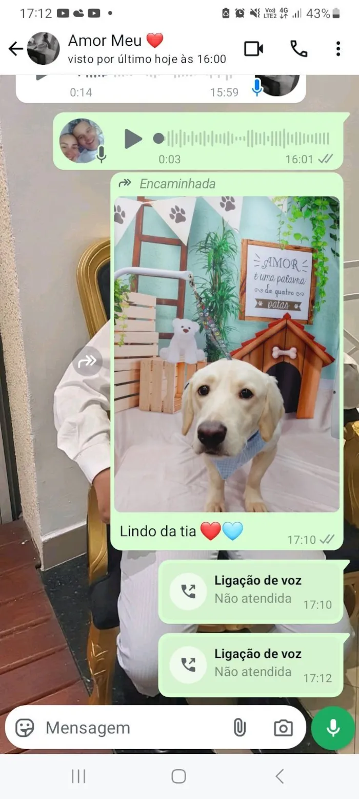 Cachorro raça SRD-ViraLata idade 3 anos nome Max