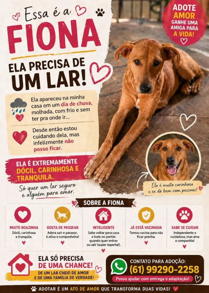 Cachorro raça SRD-ViraLata idade 2 anos nome Fiona