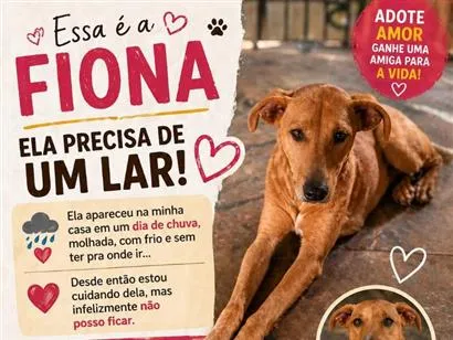 Cachorro raça SRD-ViraLata idade 2 anos nome Fiona