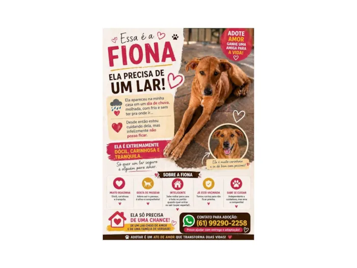 Cachorro raça SRD-ViraLata idade 2 anos nome Fiona