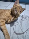 Miguel