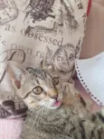 Cecilia (Mimi)