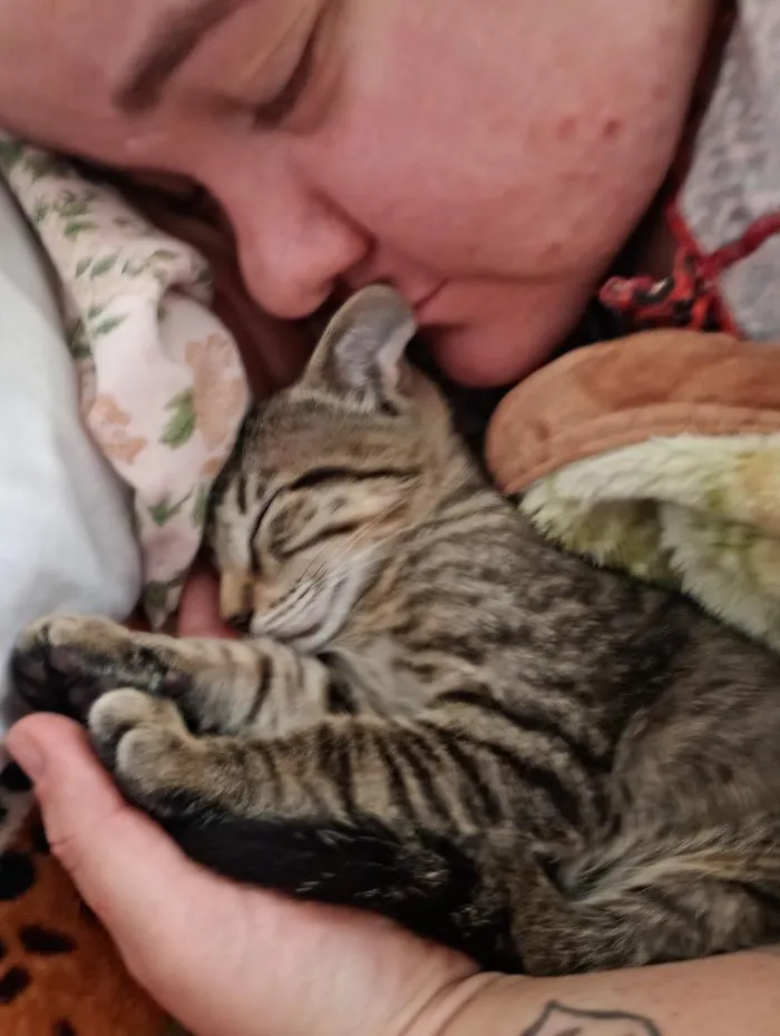Gato raça SRD-ViraLata idade Abaixo de 2 meses nome Cecilia (Mimi)