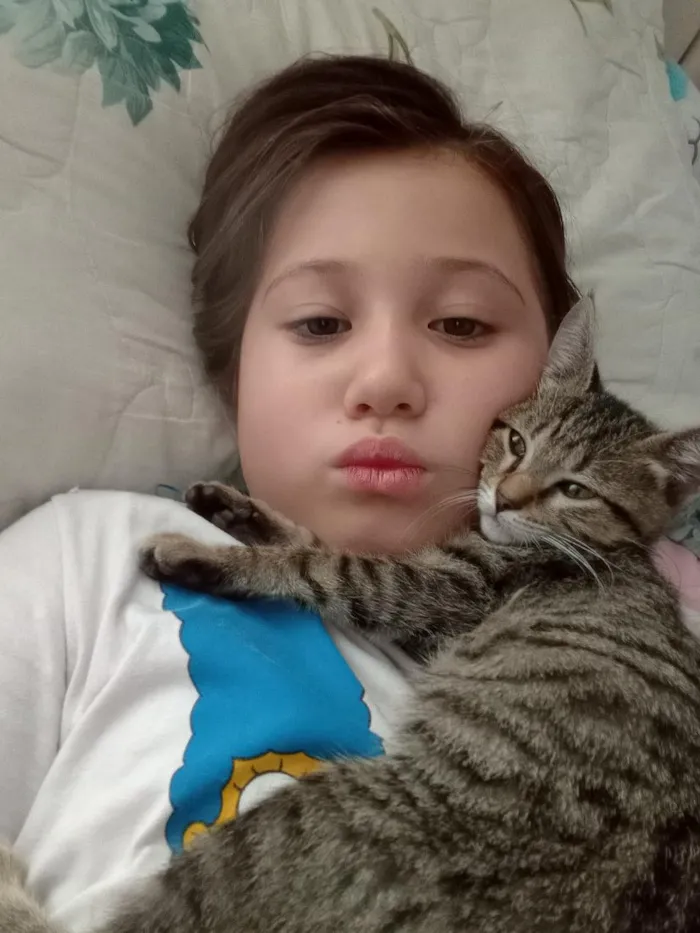 Gato raça SRD-ViraLata idade Abaixo de 2 meses nome Cecilia (Mimi)