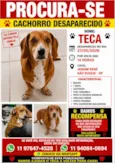 Teca